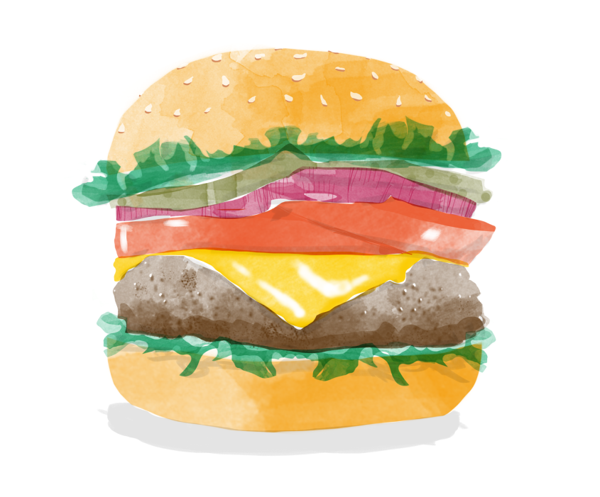 food illustration burger